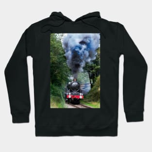 5029 Nunney Castle Hoodie